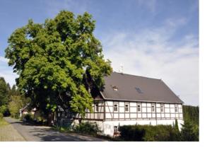 a large white building with a large tree next to it at HerrBerge Pilgerglück in Eibenstock