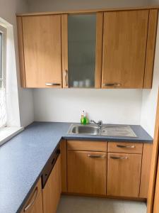 a kitchen with wooden cabinets and a sink at Wohnhaus Leitner in Wald am Schoberpaß