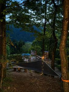 a skateboard ramp in the middle of a forest at Mornov raj in Vuzenica