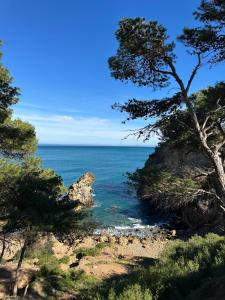 a view of the ocean from a hill with trees at el sahel residence in Beni Haoua