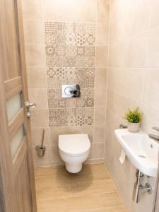 a bathroom with a toilet and a sink at Apartment Centrum Orion in Dubnica nad Váhom +1 photo