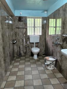 a bathroom with a toilet and a shower and a sink at Spring Grove B&B in Jowai +44 photos