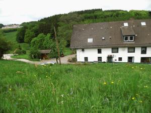 ein weißes Haus mit Gras und Blumen in der Unterkunft Pension Hesse in Lüdenscheid