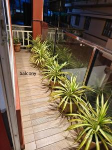 a balcony with potted plants on a building at The single room for two in Madikeri