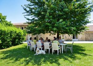a group of people sitting at a table under a tree at Maison charmante à Saint-Vincent-la-Châtre avec piscine partagée in Saint-Vincent-la-Châtre