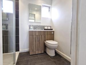 a bathroom with a toilet and a sink and a shower at 67 Broadside Holiday Chalet near Broads & Beaches in Stalham