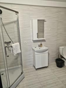 a bathroom with a shower and a sink and a toilet at Zarvantsi Hotel in Khmelëva