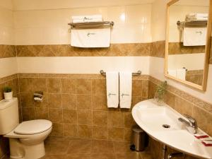 a bathroom with a toilet and a sink at Hotel Rural El Verdenal in Noceda del Bierzo
