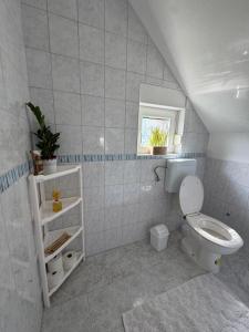 a white bathroom with a toilet and a window at Weekendica Aljmaš in Aljmaš +29 photos