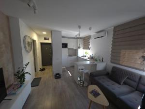 a living room with a couch and a kitchen at Cely's Ap Class Park in Târgovişte