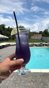 a hand holding a drink with a lemon slice in it at Casa Logascu in Bîlta