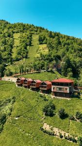 a house on top of a hill in a field at Oşvacu Dağ Evleri in Çamlıhemşin