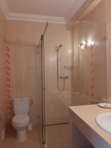a bathroom with a shower and a toilet and a sink at Lucie Lime GuestHouse in Luz