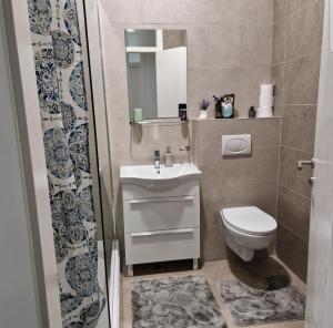 a bathroom with a toilet and a sink and a mirror at Avenue Apartment Sarajevo in Sarajevo +10 photos