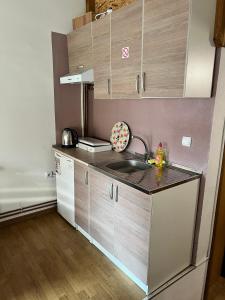 a kitchen with a sink and a counter top at Vlašić Moon Apartments in Vlasic