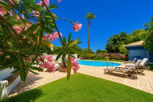 a backyard with a swimming pool and a palm tree at Quinta dos Cochichos - Country Houses in Olhão