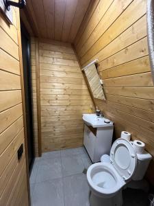 a bathroom with a toilet and a sink at Aba Ula in Martvili