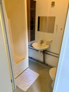 a bathroom with a sink and a toilet and a mirror at Weaky what you want in Ugine +2 photos