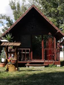 a small cabin with a porch in the grass at LEBADA de VARA in Mahmudia