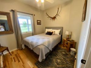 a bedroom with a bed with a antler on the wall at The Gathering Place home in Montrose +21 photos