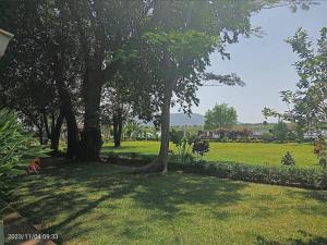 a park with trees and a field of grass at Mwanati Executive Lodge in Liwonde