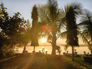 a group of palm trees on a dirt road with the ocean at Mwanati Executive Lodge in Liwonde