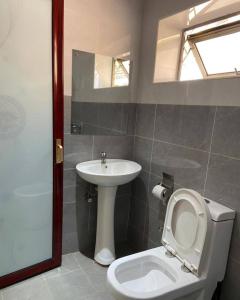 a bathroom with a toilet and a sink at Mwanati Executive Lodge in Liwonde