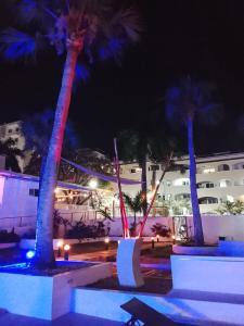 a group of palm trees lit up at night at Hannabi Hotel in Boca Chica