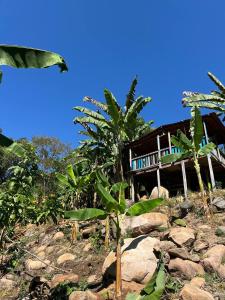 a house on top of a rocky hill with trees at Casa campo Villa Yaneth in Pueblo Bello