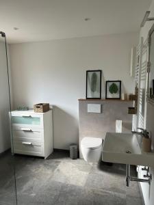 a bathroom with a toilet and a sink at Landliebe Wemb in Weeze