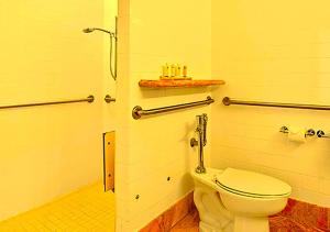 a bathroom with a white toilet and a shower at Hotel Bhanuka Palace in Dhanbād