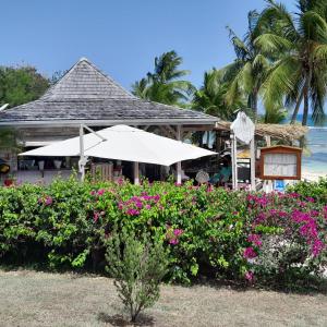 a restaurant with pink flowers and an umbrella at Le Tropical in Sainte-Anne
