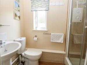 a bathroom with a toilet and a sink and a shower at 15 The Dell in Norwich +21 photos