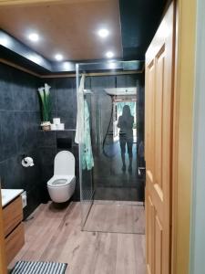a bathroom with a toilet and a glass shower at Ferienwohnung Mittergutnigg in Innervillgraten
