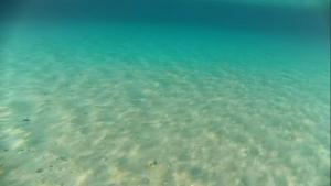 a view of the clear water in the ocean at Casa Patronimio Aristotle Socrates Residence in Ierissos +1 photo