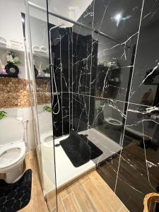 a bathroom with a glass shower with a toilet at Refuge champêtre in Champagnole