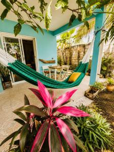 a hammock in a house with a plant at Garden House 2 bikes included in Mahahual