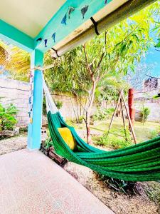 a hammock in a house with a tree at Garden House 2 bikes included in Mahahual +10 photos