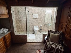 a bathroom with a shower with a toilet and a chair at Villa Toscana in Maturín +4 photos