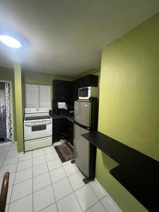 a kitchen with black and green walls and a refrigerator at Grand One Bedroom Studio Apt in Kingston +10 photos