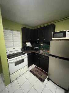 a small kitchen with black cabinets and white appliances at Grand One Bedroom Studio Apt in Kingston