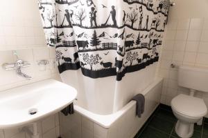 a bathroom with a toilet and a shower curtain at Jungfrau Lodge, Swiss Mountain Hotel in Grindelwald +51 photos