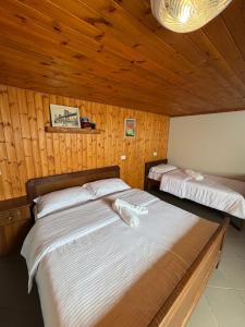 two beds in a room with wooden walls at Bujtina Lepushe Agroturizem in Lëpushë