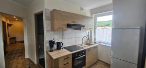 a kitchen with a white refrigerator and a sink at Apartament 5- Bliżej Zdroju in Polanica-Zdrój