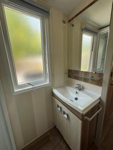 a bathroom with a sink and a window at Mobile-home in Ivry-la-Bataille +15 photos
