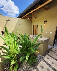 a bathroom with a sink and some plants at Selva Serena in Anapoima