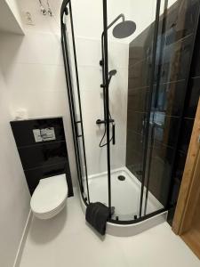 a bathroom with a shower and a toilet at Leśna Przystań in Pojezierze