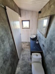 a bathroom with a toilet and a sink at Spectacular tiny house in an unforgettable setting in Ñilque +70 photos