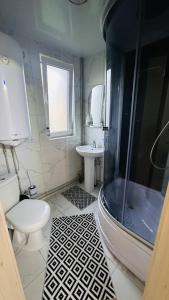 a bathroom with a shower and a toilet and a sink at Едем 2 in Verkhovyna +12 photos