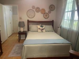 a bedroom with a large bed with pillows on it at Wilche Cottage in Road Town